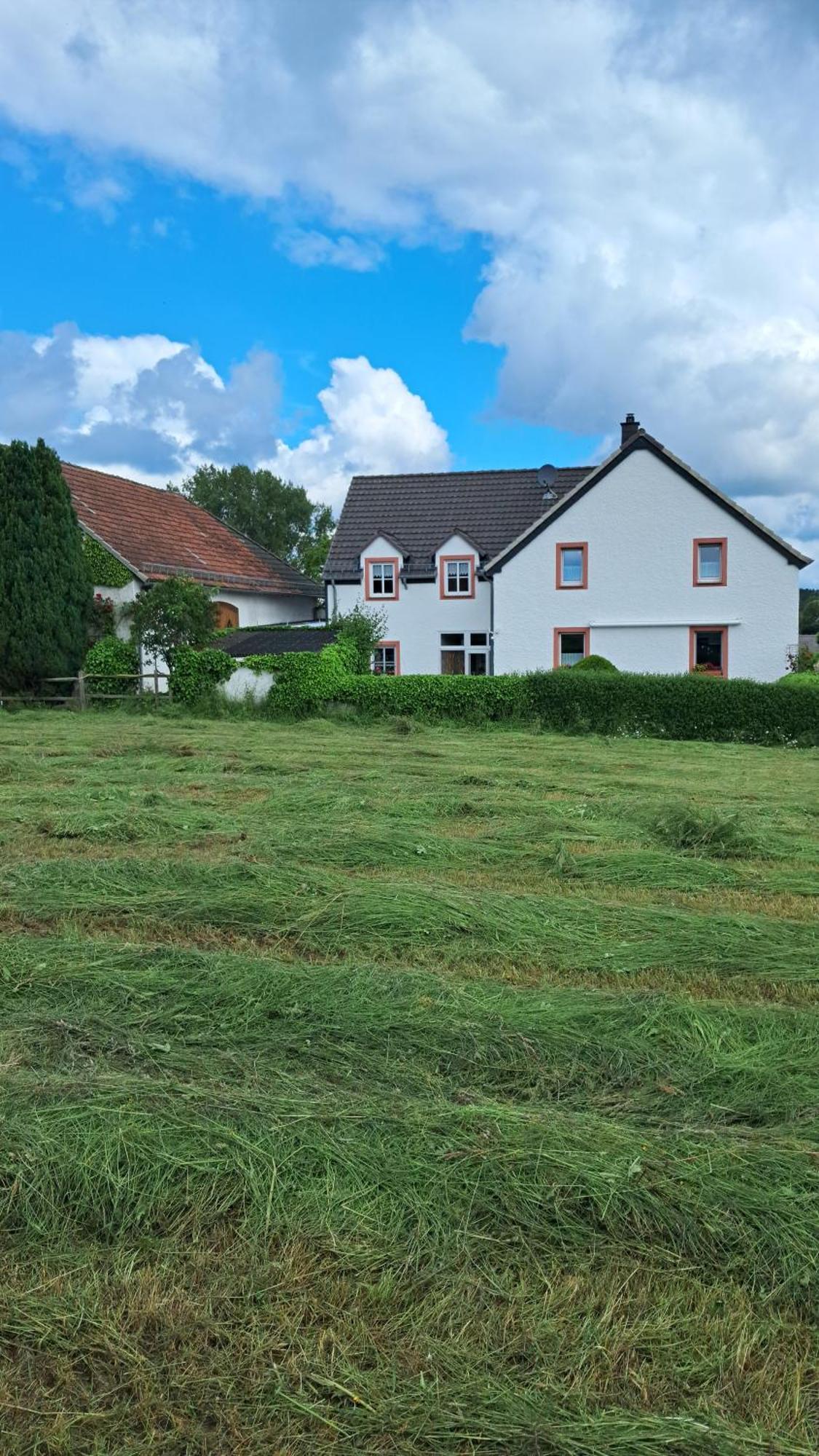 Ferienwohnung Eifelgold Esch Esch  Eksteriør billede